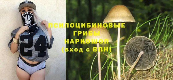 сатива Балабаново