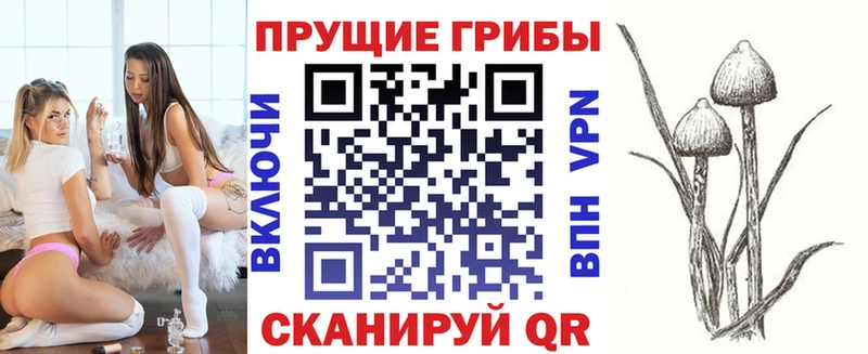 дарк нет телеграм  Ноябрьск  Галлюциногенные грибы ЛСД 